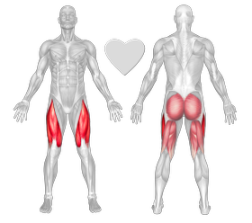 Exercise Barbell Squats Muscles